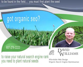 Ethical Organic SEO | Organic Search Engine Optimization