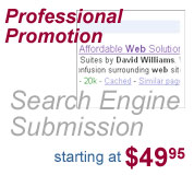 Search Engine Promotion and Marketing by David Williams